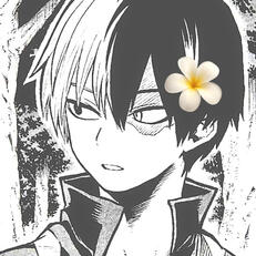 shoto todoroki